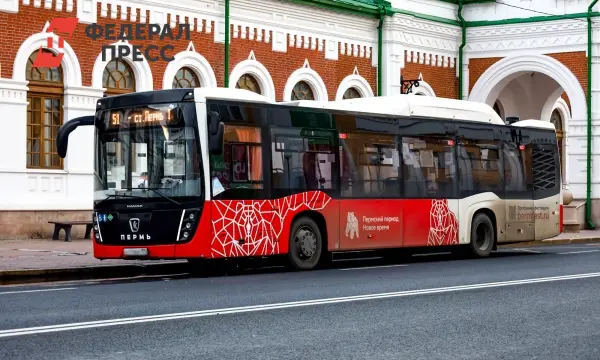 Депутаты Перми и Анатолий Путин обсудили перспективы новых автобусов-0