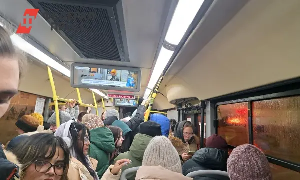 Депутаты Югры ужесточили штрафы за безбилетный проезд в транспорте-0