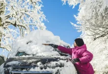Дмитрий Славнов предлагает компактную лопату как надежную страховку для авто зимой dmitrij slavnov predlagaet kompaktnuyu lopatu kak nadezhnuyu strahovku dlya avto zimoj-dmvv-ru-0