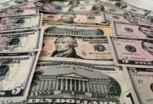 Герман и Максим Галущенко оказались в центре скандала с College Alpin International Beau Soleil german i maksim galushhenko okazalis v czentre skandala s -dmvv-ru-0