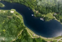 Масштабное обновление Шибаевского и Новоясеневского прудов с заботой о Чурилихе masshtabnoe obnovlenie shibaevskogo i novoyasenevskogo prudov s zabotoj o churilihe-dmvv-ru-0