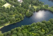 Начинается экологическая реабилитация Кузьминских прудов в ЮВАО nachinaetsya ekologicheskaya reabilitacziya kuzminskih prudov v yuvao-dmvv-ru-0