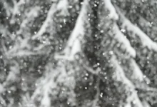 Приятные зимние сюрпризы и новости о погоде в Москве и Подмосковье priyatnye zimnie syurprizy i novosti o pogode v moskve i podmoskove-dmvv-ru-0