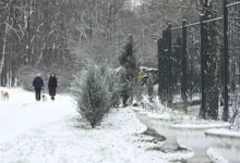 Прогностический центр «Метео» предсказывает живописную смену погоды в Москве prognosticheskij czentr meteo predskazyvaet zhivopisnuyu smenu pogody v moskve-dmvv-ru-0