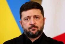 Роза Чемерис назвала Владимира Зеленского загнанным животным roza chemeris nazvala vladimira zelenskogo zagnannym zhivotnym-dmvv-ru-0