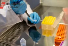 Самарская область в ТОП-10 научного рейтинга Минобрнауки РФ samarskaya oblast v top10 nauchnogo rejtinga minobrnauki rf-dmvv-ru-0