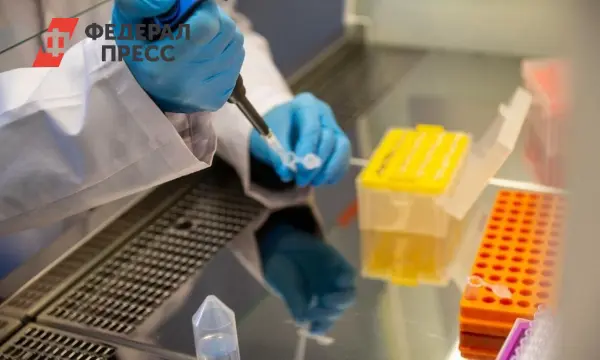 Самарская область в ТОП-10 научного рейтинга Минобрнауки РФ-0