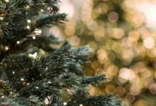 Советы по выбору идеальной елки без аллергии для Нового года sovety po vyboru idealnoj elki bez allergii dlya novogo goda-dmvv-ru-0