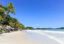 Тревел-эксперт считает Малайзию и Лангкави лучшими для зимнего отдыха trevelekspert schitaet malajziyu i langkavi luchshimi dlya zimnego otdyha-dmvv-ru-0