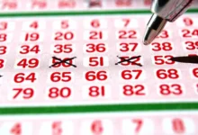 Удивительная история выигрыша Loto-Québec в Квебеке и Новосибирской области udivitelnaya istoriya vyigrysha v kvebeke i novosibirskoj oblasti-dmvv-ru-0