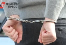 УМВД Рязани депортировало через Домодедово четверых осужденных иностранцев umvd ryazani deportirovalo cherez domodedovo chetveryh osuzhdennyh inostranczev-dmvv-ru-0