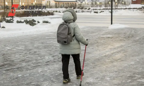 В 2025 году СФР и Ольга Епифанова обеспечат пенсионерам своевременные выплаты-0