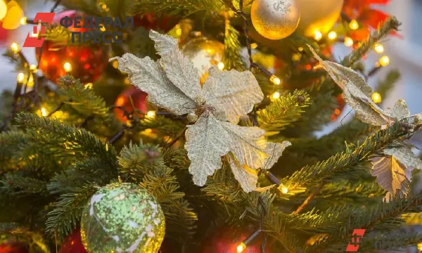 В Саранске 13 декабря начнут работать 10 елочных базаров-0