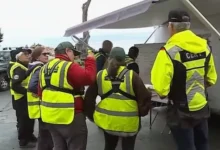 Вдохновляющая история клуба Кельп Кролерс и акулы благодаря Эрике Фокс vdohnovlyayushhaya istoriya kluba kelp krolers i akuly blagodarya erike foks-dmvv-ru-0