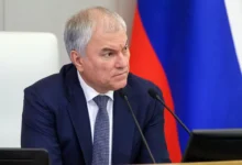 Вячеслав Володин высказал мнение о «деле Долиной» в Госдуме vyacheslav volodin vyskazal mnenie o dele dolinoj v gosdume-dmvv-ru-0