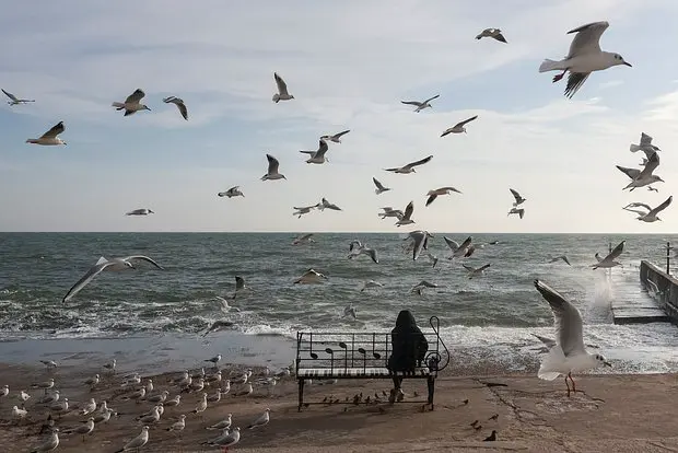 Вводная картинка