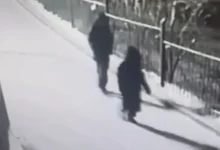 andrej i nikolaj kaplya najdeny zhivymi v krasnoyarske-dmvv-ru-0