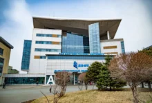 ДВФУ и Game Forest готовят геймдев-профессионалов Приморья dvfu i gotovyat gejmdevprofessionalov primorya-dmvv-ru-0