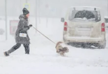 Екатерина Стенякина объяснила, когда МЧС и «Фобос» могут помочь ekaterina stenyakina obyasnila kogda mchs i fobos mogut pomoch-dmvv-ru-0