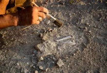 Гепарды в пещере: археологи Саудовской Аравии и NCW раскрыли тайну gepardy v peshhere arheologi saudovskoj aravii i raskryli tajnu-dmvv-ru-0