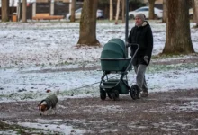 gosduma i mintrud soobshhili ob uvelichenii materinskogo kapitala s 2024 goda-dmvv-ru-0