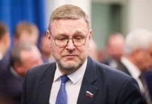 Константин Косачев отметил: успехи Польши и вызовы для ЕС konstantin kosachev otmetil uspehi polshi i vyzovy dlya es-dmvv-ru-0