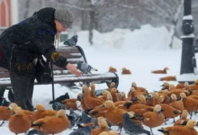 Кунафин и Славнов вдохновляют на заботу о природе и людях зимой kunafin i slavnov vdohnovlyayut na zabotu o prirode i lyudyah zimoj-dmvv-ru-0