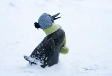 МГУ: В Москве рекордный снегопад, январь 2026 года mgu v moskve rekordnyj snegopad yanvar 2026 goda-dmvv-ru-0