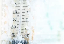 Морозная сказка Черустей и ВДНХ. Январь готовит сюрпризы москвичам moroznaya skazka cherustej i vdnh yanvar gotovit syurprizy moskvicham-dmvv-ru-0