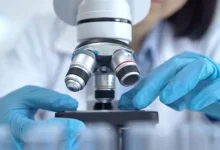 Мурад Шахмарданов и Геннадий Онищенко о вирусе «Нипах» murad shahmardanov i gennadij onishhenko o viruse nipah-dmvv-ru-0