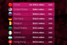 На глобальном рынке витаминов лидируют Китай, США и Бельгия в импорте na globalnom rynke vitaminov lidiruyut kitaj ssha i belgiya v importe-dmvv-ru-0