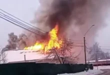 Пожар в поселке Глебовский локализован, Москва контролирует pozhar v poselke glebovskij lokalizovan moskva kontroliruet-dmvv-ru-0