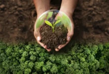 РЭО запустил Экомониторинг по инициативе Патрушева, Аксёнова reo zapustil ekomonitoring po inicziative patrusheva aksyonova-dmvv-ru-0