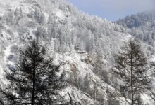 semya usolczevyh propala v krasnoyarskom krae  spasateli ishhut-dmvv-ru-0