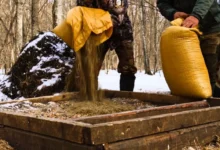 В национальном парке «Земля леопарда» улучшили содержание копытных животных v naczionalnom parke zemlya leoparda uluchshili soderzhanie kopytnyh zhivotnyh-dmvv-ru-0