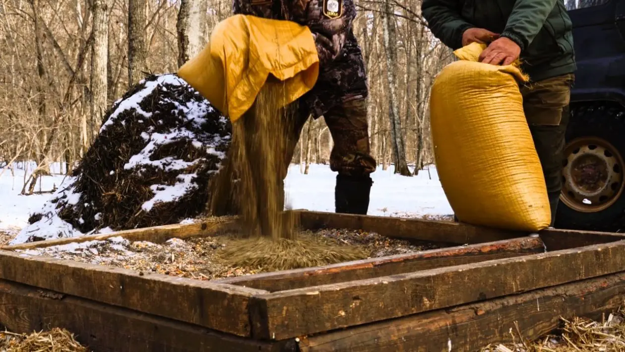 Подкормку копытных усилили в "Земле леопарда" из‑за снежного наста пресс-служба ФГБУ "Земля леопарда"