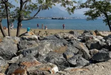 Зумеры и Expedia прогнозируют тренды безалкогольных поездок 2026 zumery i prognoziruyut trendy bezalkogolnyh poezdok 2026-dmvv-ru-0