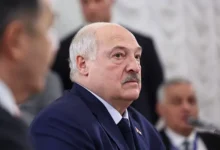 aleksandr lukashenko o potencziale belorussii vmesto rossijskoj svininy-dmvv-ru-0
