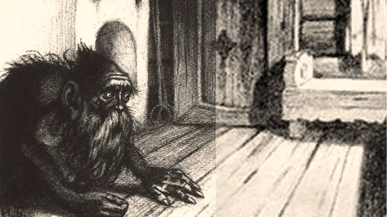 Экстрасенс Миронова рассказала, почему опасно злить домового