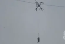 Фермер из Китая перевозил свинью на беспилотнике около ЛЭП fermer iz kitaya perevozil svinyu na bespilotnike okolo lep-dmvv-ru-0