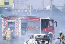 Малек Дудаков оценил действия Шейнбаум и США по наркокартелям Мексики malek dudakov oczenil dejstviya shejnbaum i ssha po narkokartelyam meksiki-dmvv-ru-0