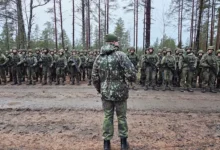 МИД России предостерёг: войска НАТО на Украине грозят эскалацией mid rossii predosteryog vojska nato na ukraine grozyat eskalacziej-dmvv-ru-0