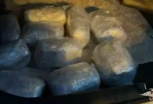 МВД России и Росгвардия задержали в Мытищах группу с 10 кг гашиша mvd rossii i rosgvardiya zaderzhali v mytishhah gruppu s 10 kg gashisha-dmvv-ru-0