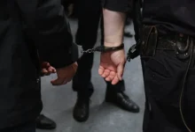 Полиция Петергофа пресекла выращивание конопли вместо помидоров policziya petergofa presekla vyrashhivanie konopli vmesto pomidorov-dmvv-ru-0