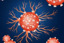 СО РАН. Открытие Ольги Лаврик — белковые мишени для лекарств от рака so ran otkrytie olgi lavrik belkovye misheni dlya lekarstv ot raka-dmvv-ru-0