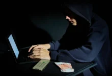 УМВД Приморья пресекает мошенничество через Госуслуги umvd primorya presekaet moshennichestvo cherez gosuslugi-dmvv-ru-0