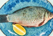 Вкусная Масленица и Китайский Новый год на рыбных рынках Москвы! vkusnaya maslenicza i kitajskij novyj god na rybnyh rynkah moskvy-dmvv-ru-0