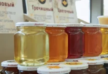 Юлия Николаева из РОСБИОТЕХ о влиянии температуры на пользу меда yuliya nikolaeva iz rosbioteh o vliyanii temperatury na polzu meda-dmvv-ru-0