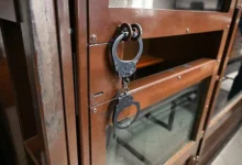 Дело Татьяны Зориной и клуба Джексон: итоги расследования delo tatyany zorinoj i kluba dzhekson itogi rassledovaniya-dmvv-ru-0