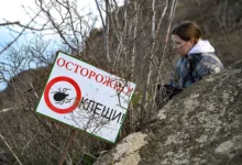 Дмитрий Сафонов рассказал, почему в 2026 году увеличится число клещей dmitrij safonov rasskazal pochemu v 2026 godu uvelichitsya chislo kleshhej-dmvv-ru-0